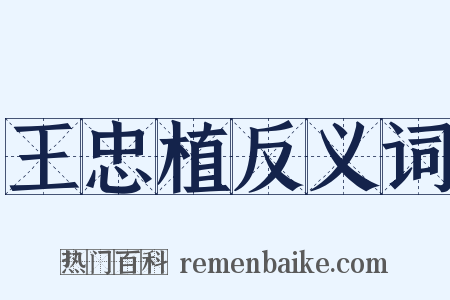王忠植反义词是什么意思的图片